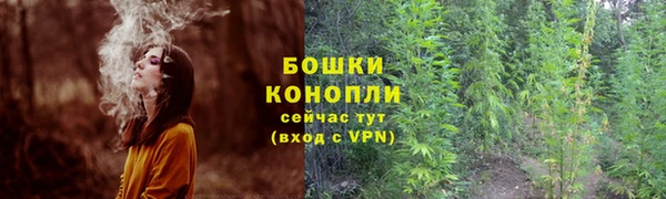 spice Балабаново