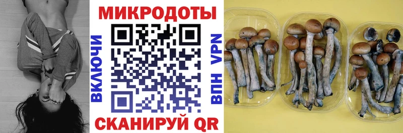 Псилоцибиновые грибы Psilocybine cubensis  купить   Теберда 